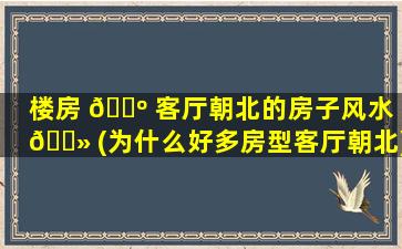 楼房 🌺 客厅朝北的房子风水 🌻 (为什么好多房型客厅朝北)